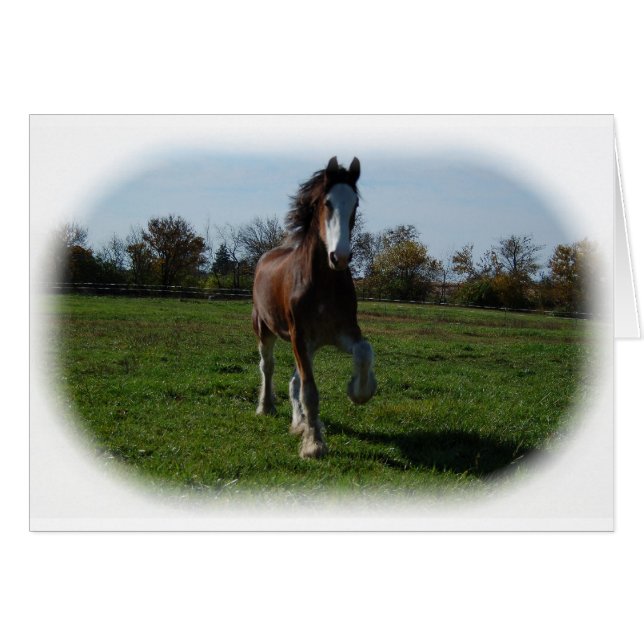 Clydesdale de funcionamiento (Anverso (Horizontal))