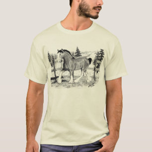 Clydesdale en camiseta del campo