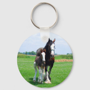 Clydesdale y llavero de la potra
