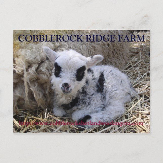 COBBLEROCK RIDGE FARM POST TARJETA (Anverso)