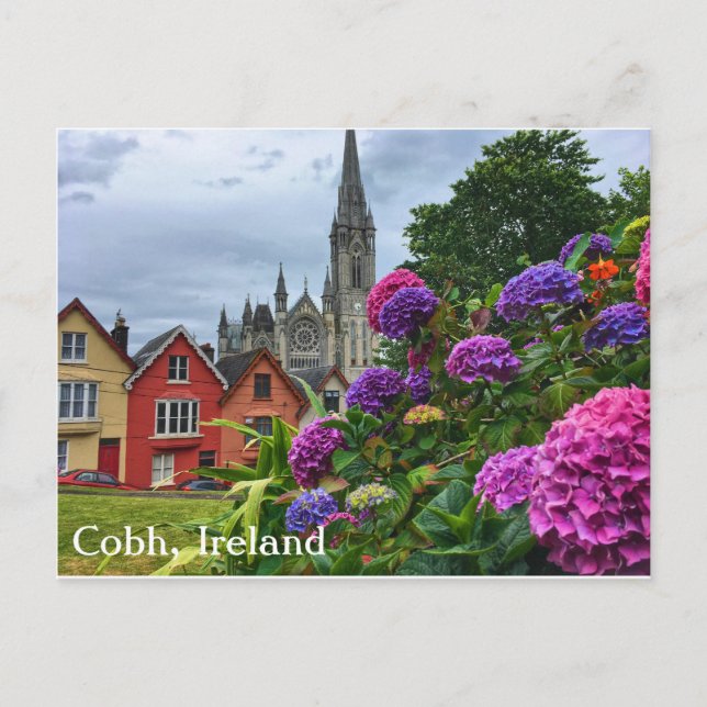 Cobh Irlanda, Hydrangeas, postal (Anverso)