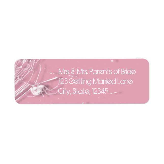 Cobwebs y etiqueta de arañas blancas (Frente)