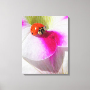 Coccinella en petunia Impresión en lienzo