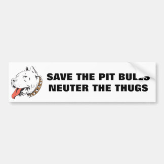 Coche Ahorre a la pegatina para el parachoques neutral