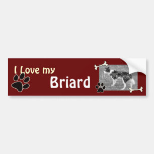 Coche Amo a mi pegatina para el parachoques de Briard