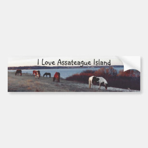 Coche Amo la isla de Assateague - pegatina para el