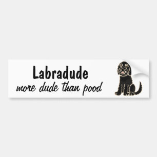 Coche AZ- pegatina para el parachoques de Labradoodle