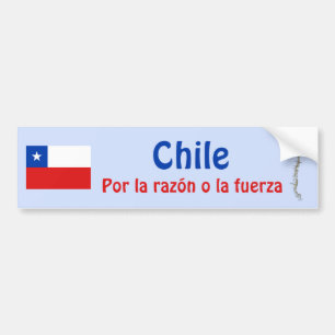 Coche Bandera de Chile y pegatina para el parachoques