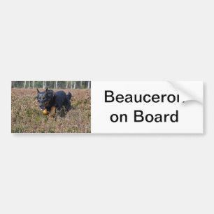Coche beauceron de la pegatina para el parachoques