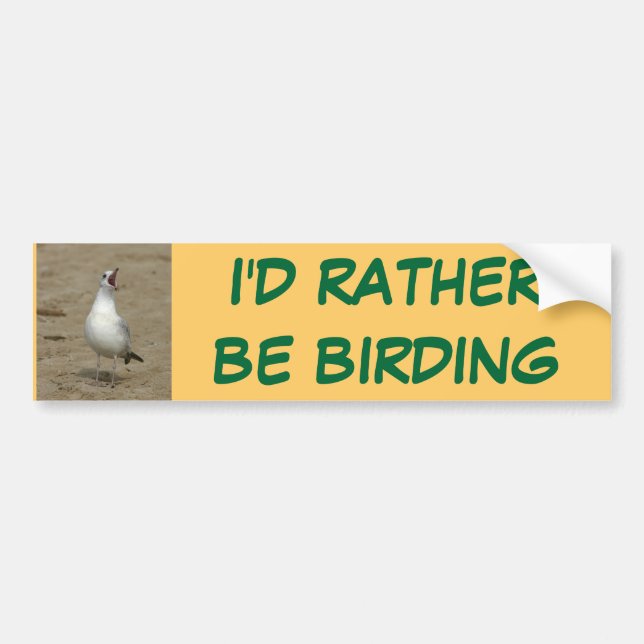 Coche Birding bastante a la pegatina para el parachoques (Frente)