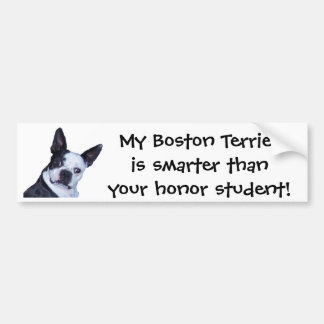 Coche Boston elegante Terrier - pegatina para el
