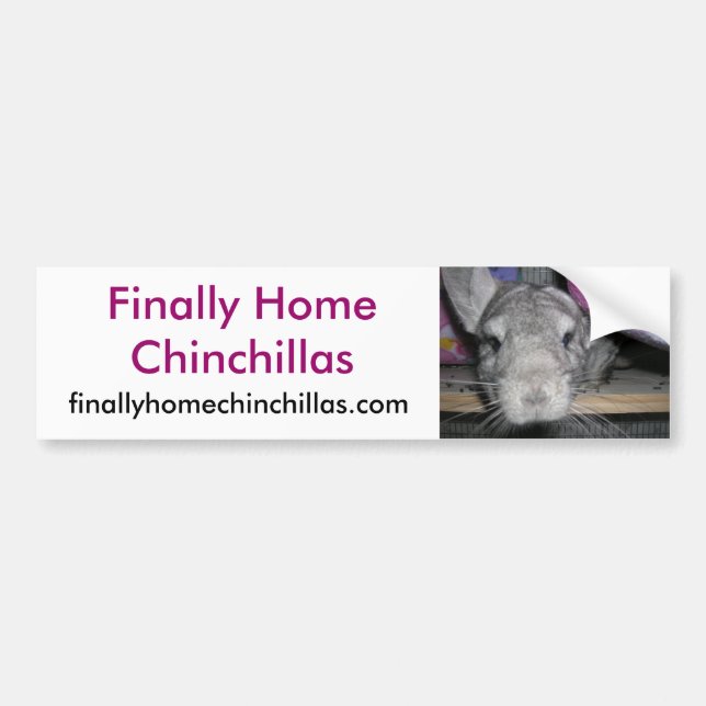 Coche Chinchillas finalmente caseras pegatina para el (Frente)