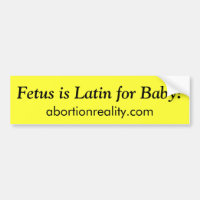 ¡El feto es latino para el bebé! , pegatina para