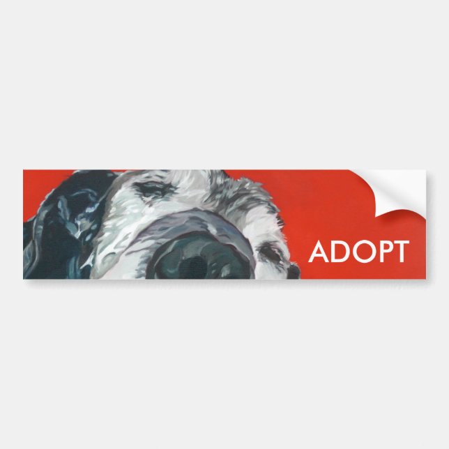 Coche El labrador retriever ADOPTA a la pegatina para el (Frente)