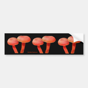 Coche El naranja prolifera rápidamente pegatina para el