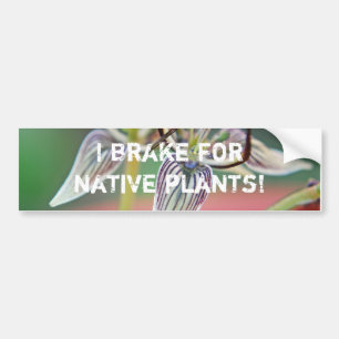 Coche Freno para plantas nativas - Pegatina del parachoq