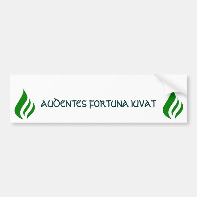 Coche La "fortuna favorece" a la pegatina para el (Frente)