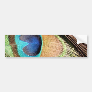 Coche La pluma del pavo real diseña a la pegatina para