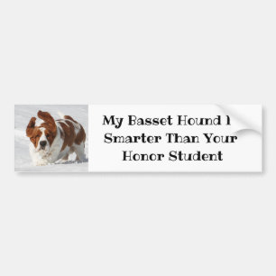 Coche Lindo "mi Basset Hound es" una pegatina para el