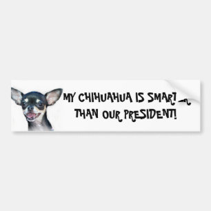 Coche Mi chihuahua es una pegatina para el parachoques