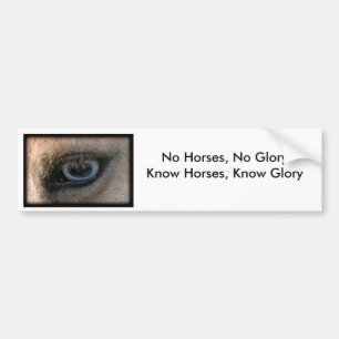 Coche Ningunos caballos, ninguna gloria - pegatina para