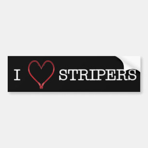 Coche OSCURIDAD de la pegatina para el parachoques de