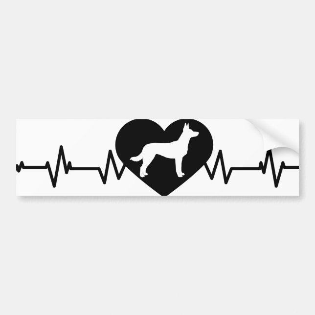 Coche Pastor belga - pegatina para el parachoques de (Frente)