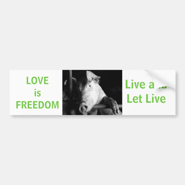 Coche Pegatina de parachoques para coches de cerdo (Frente)