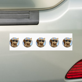 Coche Pegatina de parachoques para gato de Guay