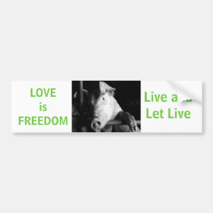 Coche Pegatina de parachoques verde para el bienestar an