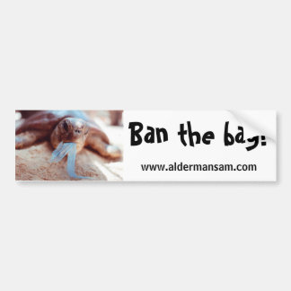 Coche Pegatina para el parachoques