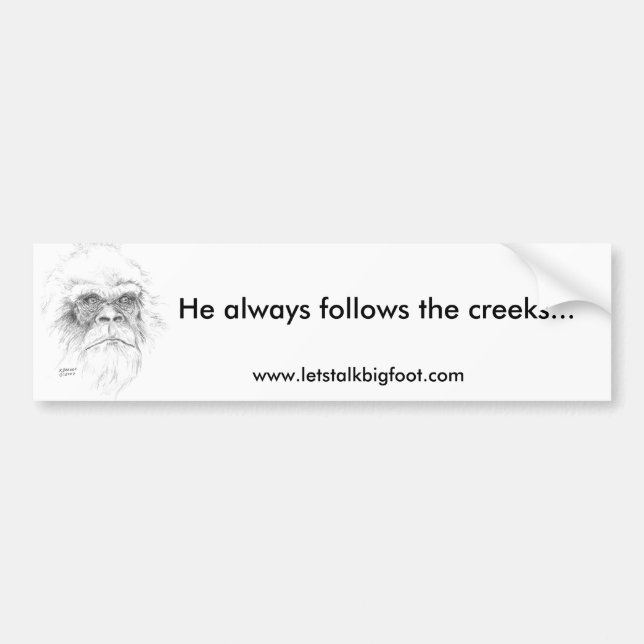 Coche Pegatina para el parachoques (Frente)