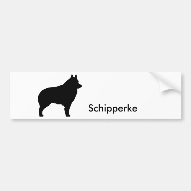 Coche Pegatina para el parachoques 1 del Schipperke (Frente)