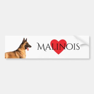 Coche Pegatina para el parachoques belga de Malinois del