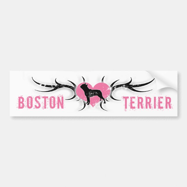 Coche Pegatina para el parachoques de Boston Terrier (Frente)