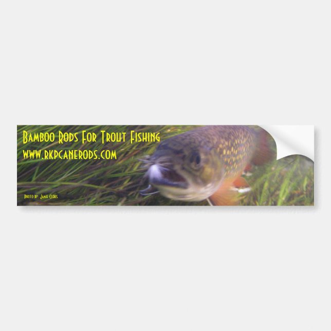 Coche Pegatina para el parachoques de Brookie (Frente)