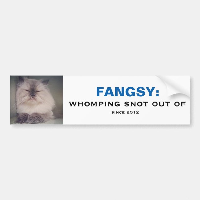 Coche Pegatina para el parachoques de Fangsy (Frente)