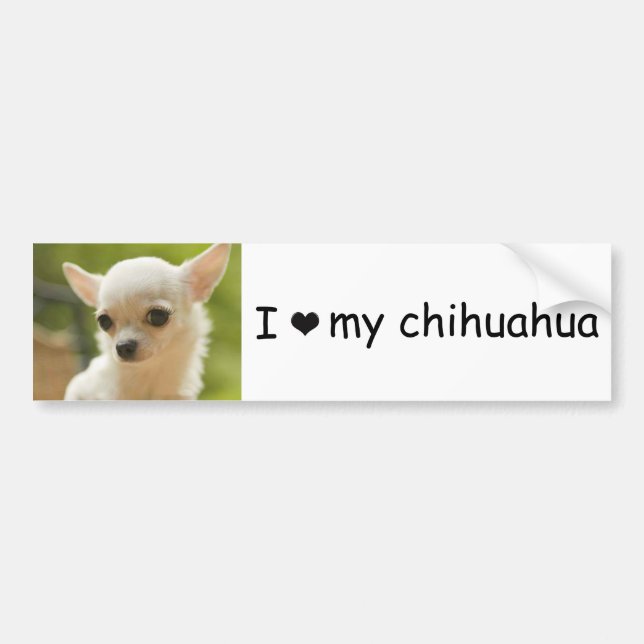 Coche pegatina para el parachoques de la chihuahua (Frente)
