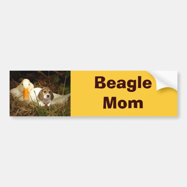 Coche Pegatina para el parachoques de la mamá del beagle (Frente)