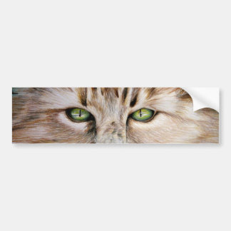 Coche Pegatina para el parachoques de los ojos de gato