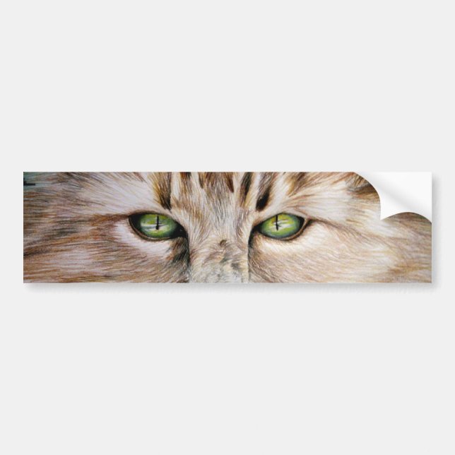 Coche Pegatina para el parachoques de los ojos de gato (Frente)