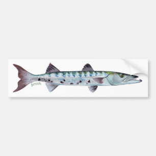 Coche Pegatina para el parachoques de los pescados del
