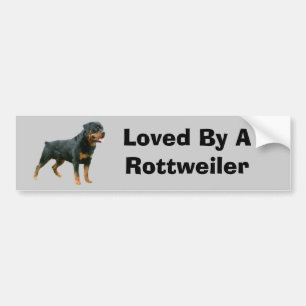 Coche Pegatina para el parachoques de Rottweiler