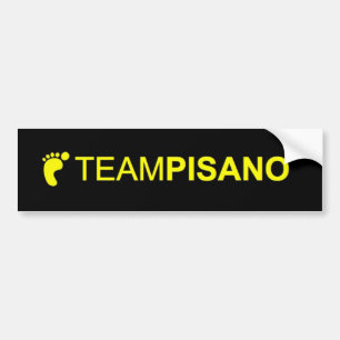 Coche Pegatina para el parachoques de TeamPisano