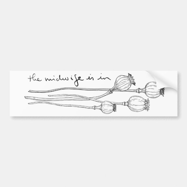 Coche Pegatina para el parachoques de TMII (Frente)