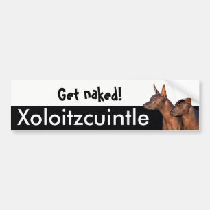 Coche Pegatina para el parachoques de Xolitzcuintle