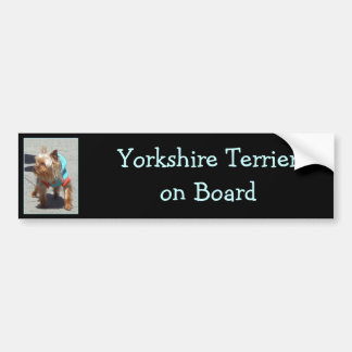 Coche Pegatina para el parachoques de Yorkshire Terrier