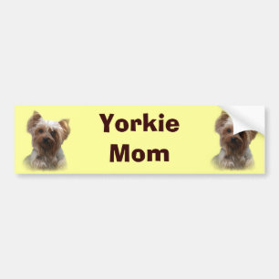 Coche Pegatina para el parachoques de Yorkshire Terrier