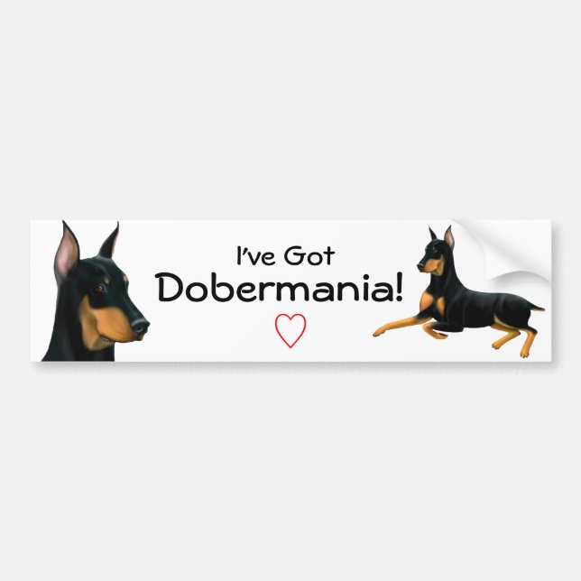Coche Pegatina para el parachoques del amor del Pinscher (Frente)