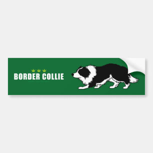 Coche Pegatina para el parachoques del border collie